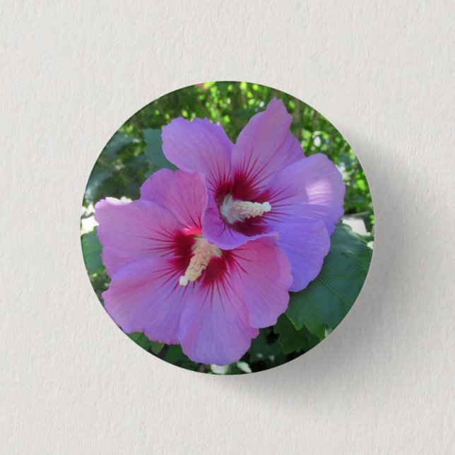 Pretty Pink Rose of Sharon Photography Button (Front)