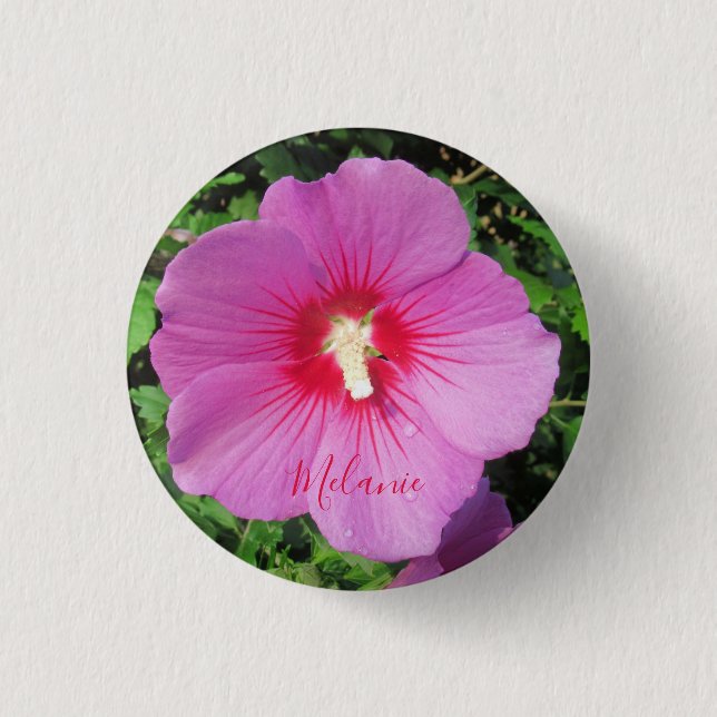 Pretty Pink Rose of Sharon Waterdrops Petals Name  Button (Front)