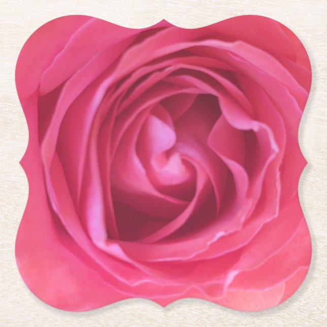 Pretty Pink Rose Paper Coaster (Front)
