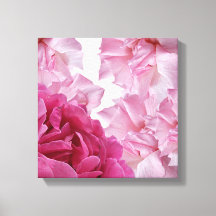 Pretty pink rose petal abstract floral stylish art