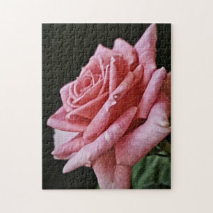 Pretty Pink Rose Puzzle