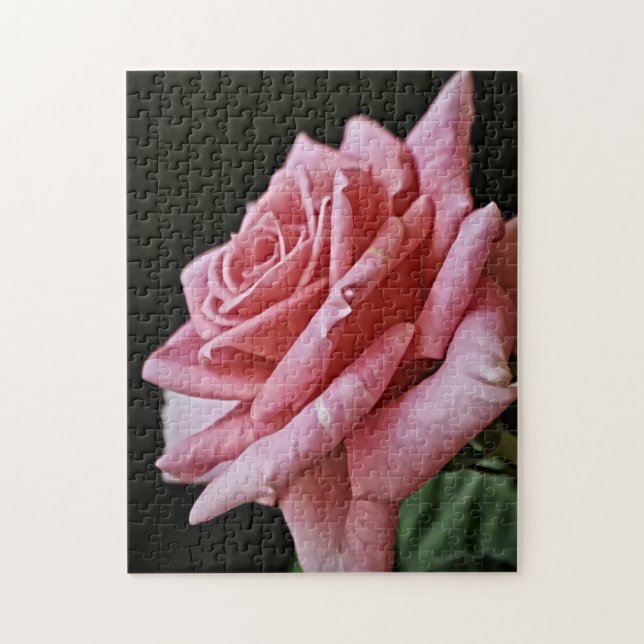 Pretty Pink Rose Puzzle (Vertical)