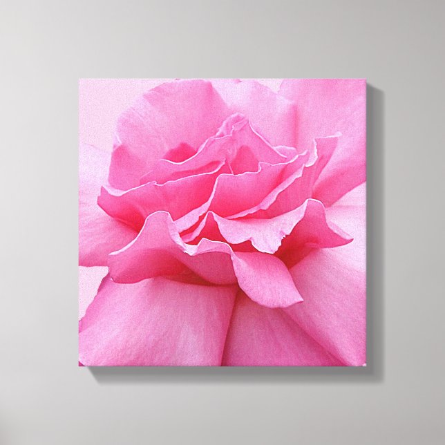 Pretty pink rose stylish modern floral fine art canvas print (Front)