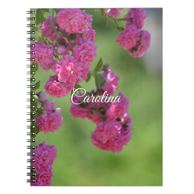 Pretty Pink Roses Floral Notebook (Front)