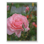 Pretty Pink Roses Temporary Tattoos