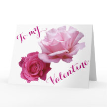 Pretty pink roses Valentine love beautiful floral