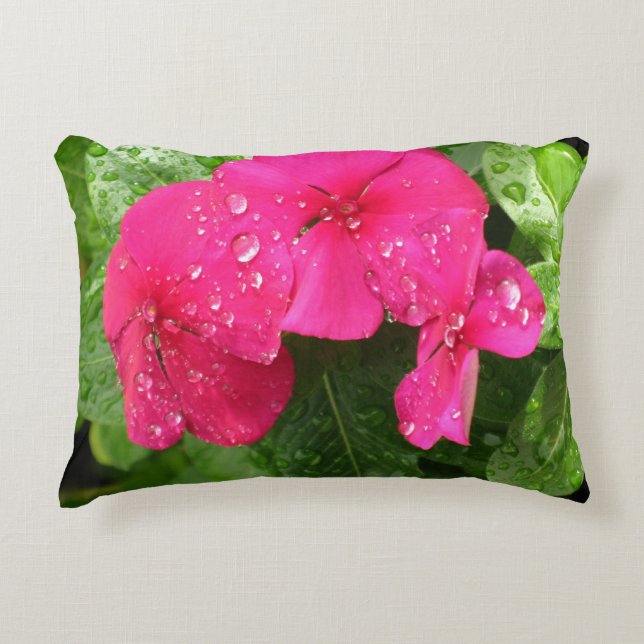 Pretty Pink Spring Flowers Macro Photography  Accent Pillow (Front)