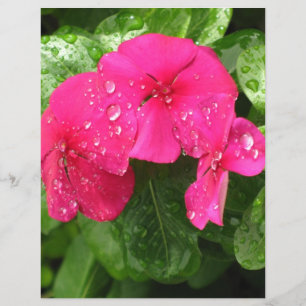 Pretty Pink Spring Flowers Scrapbooking Paper