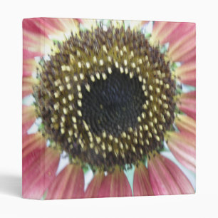 Pretty Pink Sunflower Photograph Album 3 Ring Binder