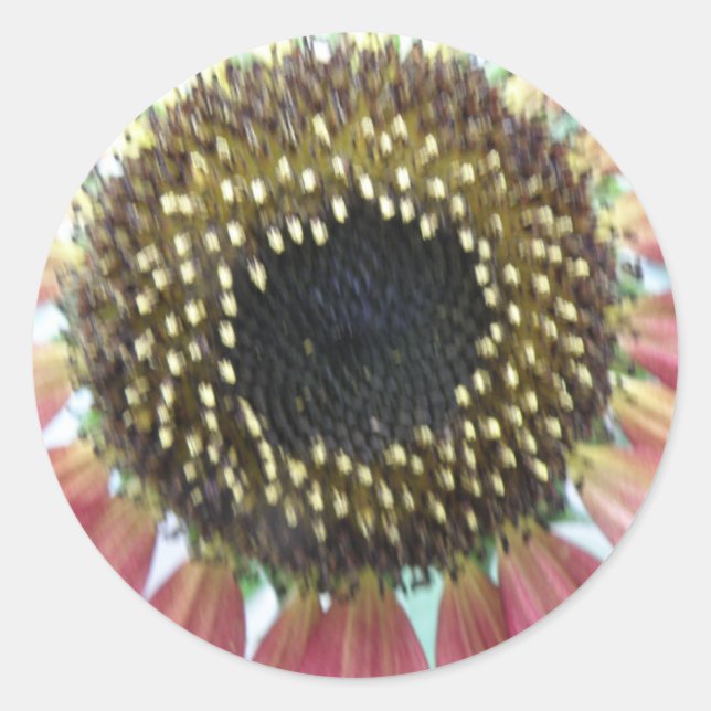 Pretty Pink Sunflower Stickers (Front)