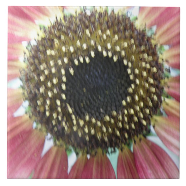 Pretty Pink Sunflower Tile (Front)