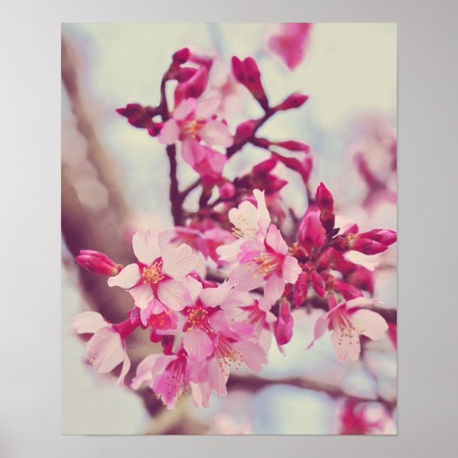 Pretty Pink Tree Blossom Photo Poster (Front)