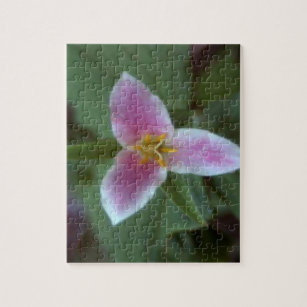 trillium wooden puzzles