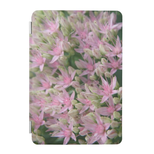 Pretty Pink Tropical Flowers iPad Mini Cover (Front)