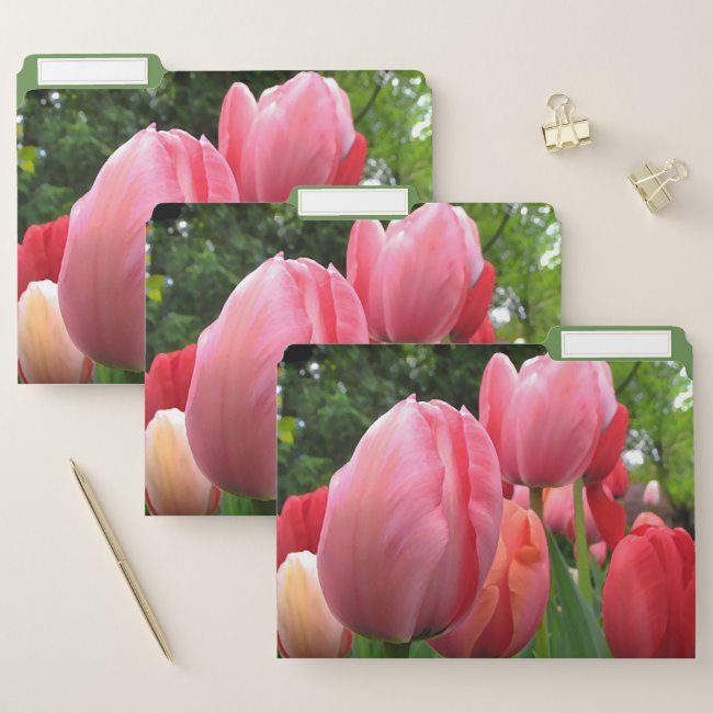 Pretty Pink Tulip Garden Flowers File Folder Set