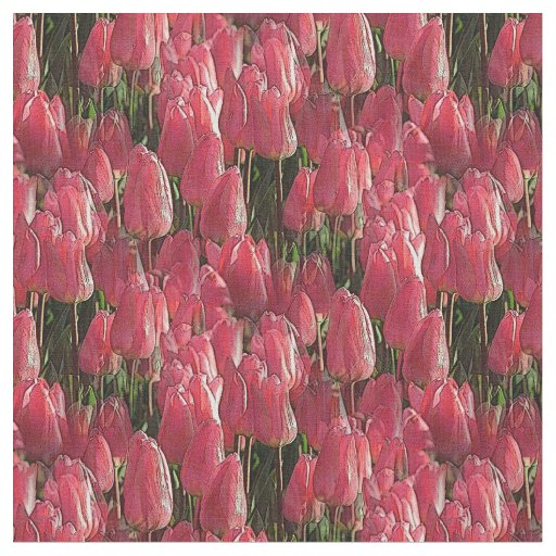 Pretty Pink Tulips Fabric