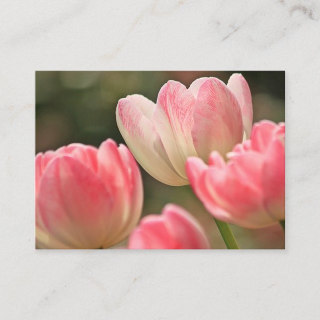 pretty pink tulips flower business card (Front)