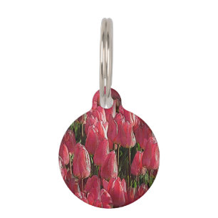 Pretty Pink Tulips Pet ID Tag