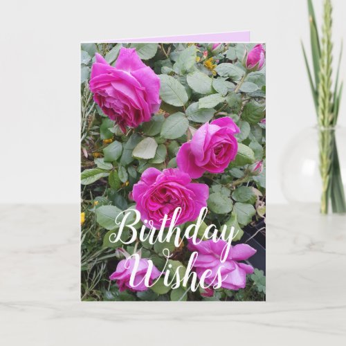 Pretty Pink Vintage Rose Flower Birthday Card