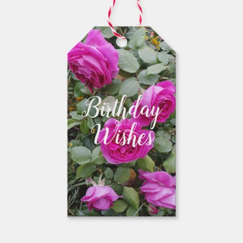 Pretty Pink Vintage Rose Flower Birthday  Gift Tags