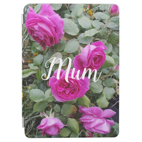Pretty Pink Vintage Rose Flower Birthday Mom iPad Air Cover