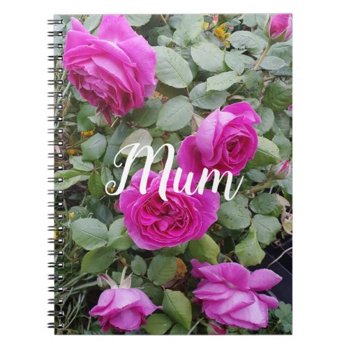 Pretty Pink Vintage Rose Flower Birthday Mom Mug Notebook