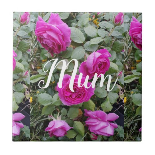 Pretty Pink Vintage Rose Flower Birthday Mom Trink Ceramic Tile