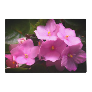 Pretty Pink Violette Africaine Saintpaulia Flowers Placemat