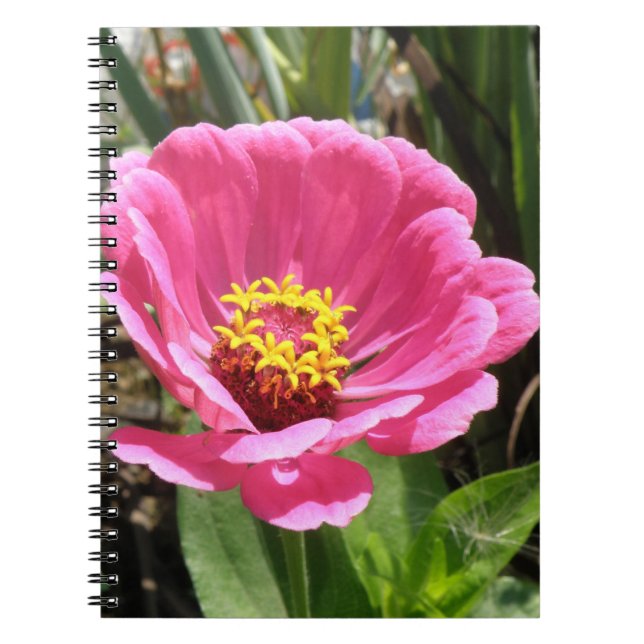 Pretty Pink Zinnia Notebook (Front)