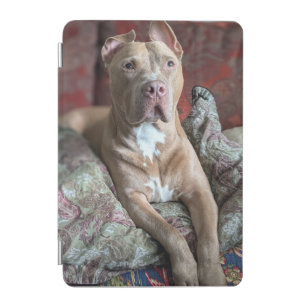 Pretty Pit Bull iPad Mini Cover