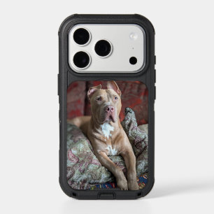 Pretty Pit Bull iPhone 17 Pro Case