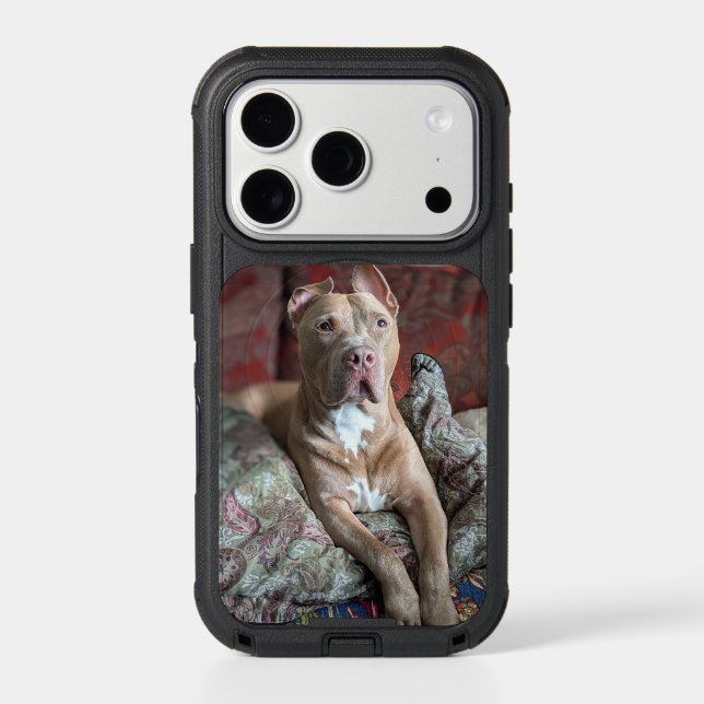 Pretty Pit Bull Otterbox iPhone Case (Back)