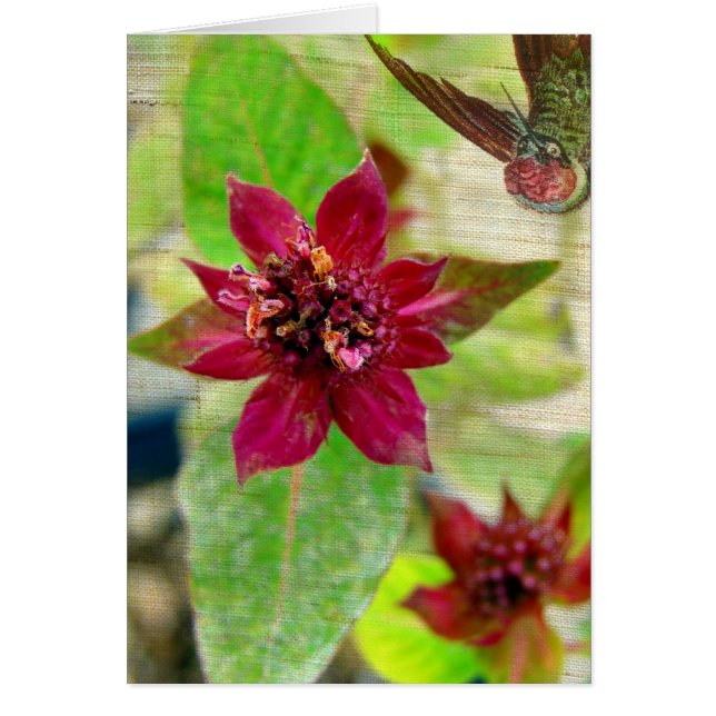Pretty Plant 2 Cards (Front)