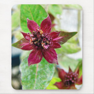 Pretty Plant Mouse Pad