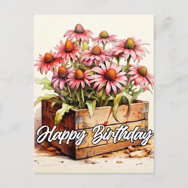 Pretty Planted Aster Flowers Postcard (Front)
