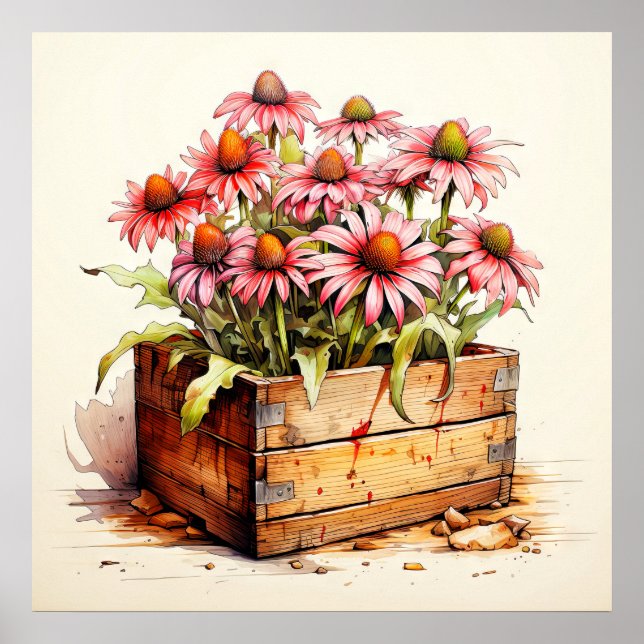 Pretty Planted Aster Flowers Poster (Front)