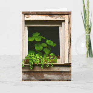 Pretty Plants in Rustic Window Birthday Card
