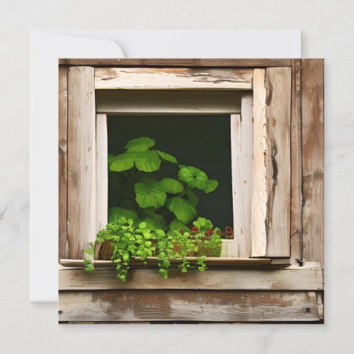Pretty Plants in Rustic Window with Weathered Wood