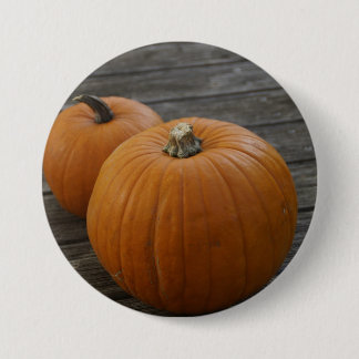 Pretty Plump Pumpkins Button