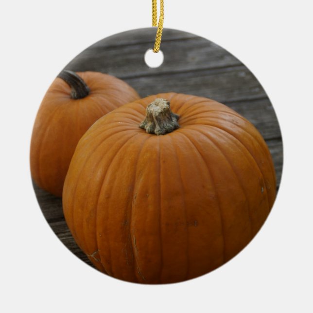 Pretty Plump Pumpkins Ornament Round (Front)