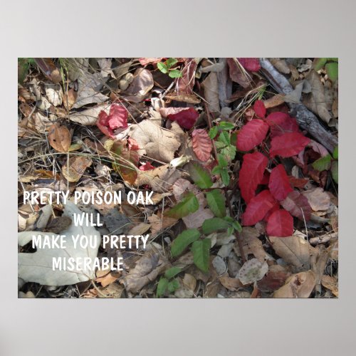 Pretty Poison Oak Warning Poster