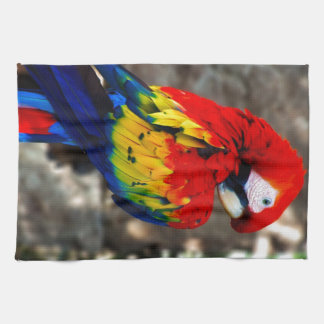 Pretty Polly Parrot Kitchen Towel