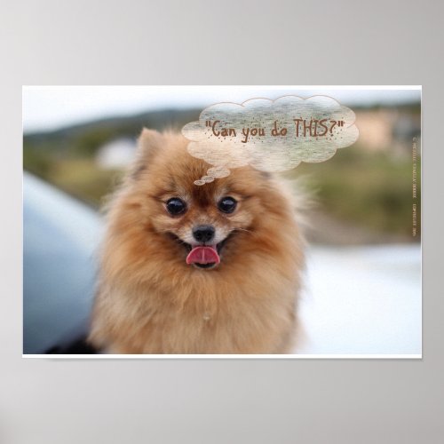 Pretty Pomeranian Can You Do THIS Poster
