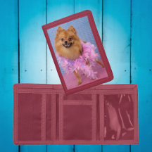 Pretty Pomeranian Wallet, wears pink feather boa