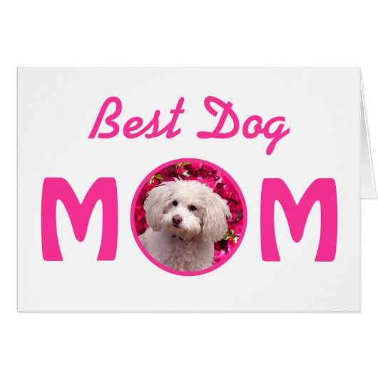 Pretty Poodle Cards (Front Horizontal)
