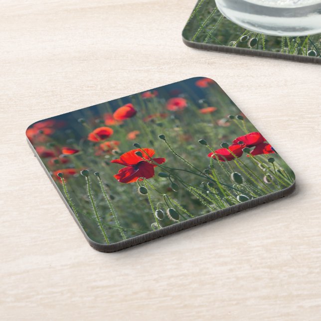 Pretty Poppies in Wild Meadow Photo Beverage Coaster (Left Side)