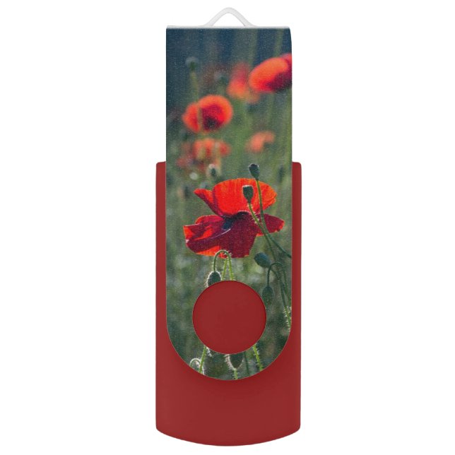 Pretty Poppies in Wild Meadow Photo Flash Drive (Front Vertical)
