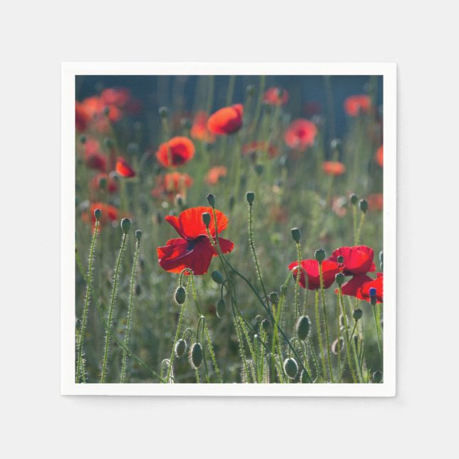 Pretty Poppies in Wild Meadow Photo Napkins (Front)