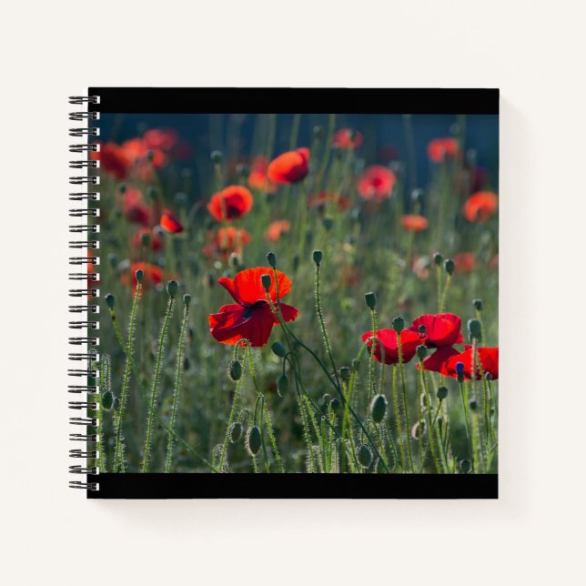 Pretty Poppies in Wild Meadow Photo Notebook (Front)