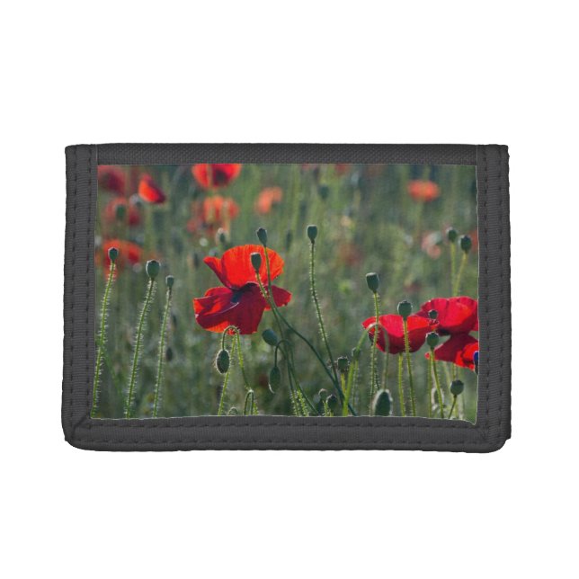 Pretty Poppies in Wild Meadow Photo Trifold Wallet (Front)